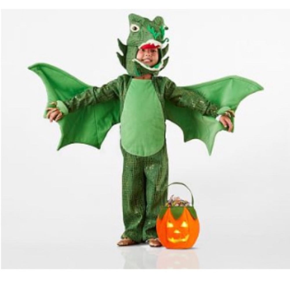 Pottery Barn Green Dragon Costume